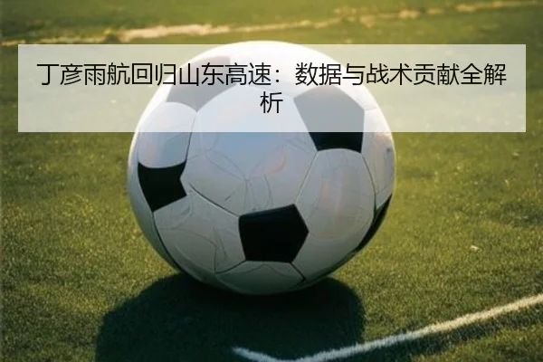 丁彦雨航回归山东高速：数据与战术贡献全解析